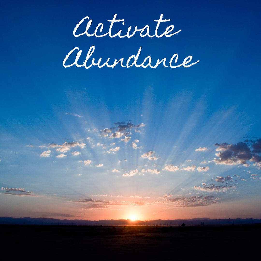 ACTIVATE ABUNDANCE WORKSHOP SERIES