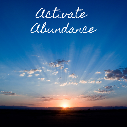 ACTIVATE ABUNDANCE WORKSHOP SERIES