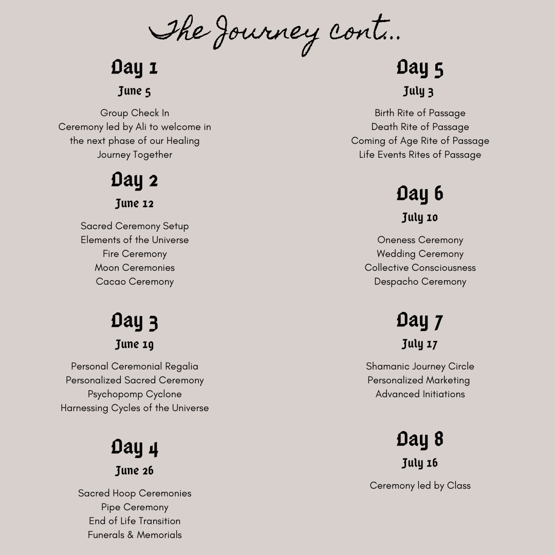 Shamanic Energy Practitioner Course Spring 2027