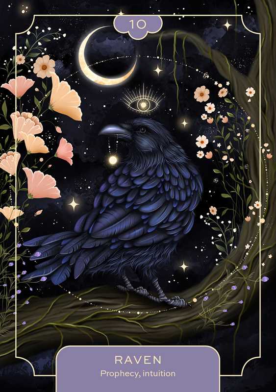 Animal Spirit Oracle by Lea  Androic: Flashcards; 96 pages / English