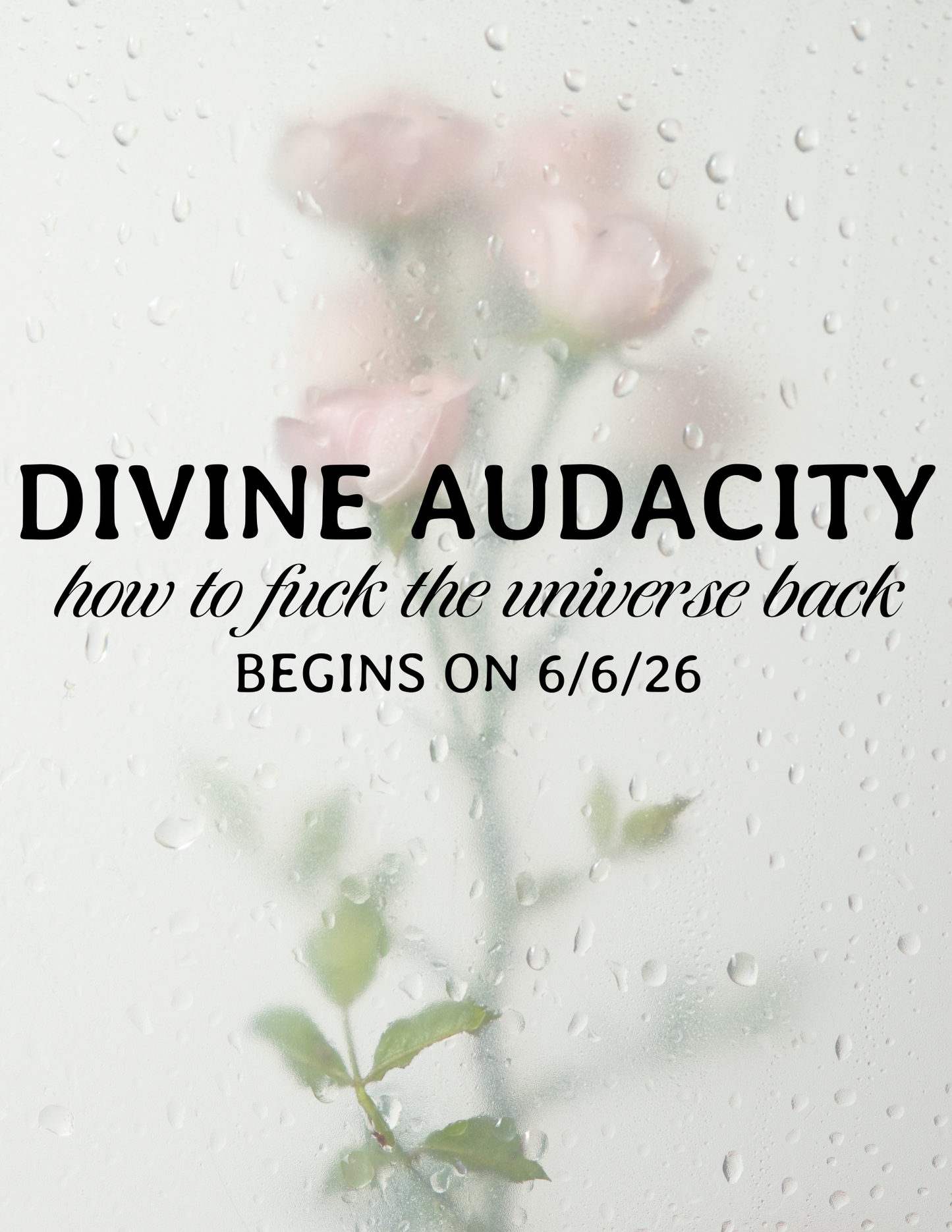 Divine Audacity : How to Fuck the Universe Back - Virtual 90 Day Program for Entrepreneurs