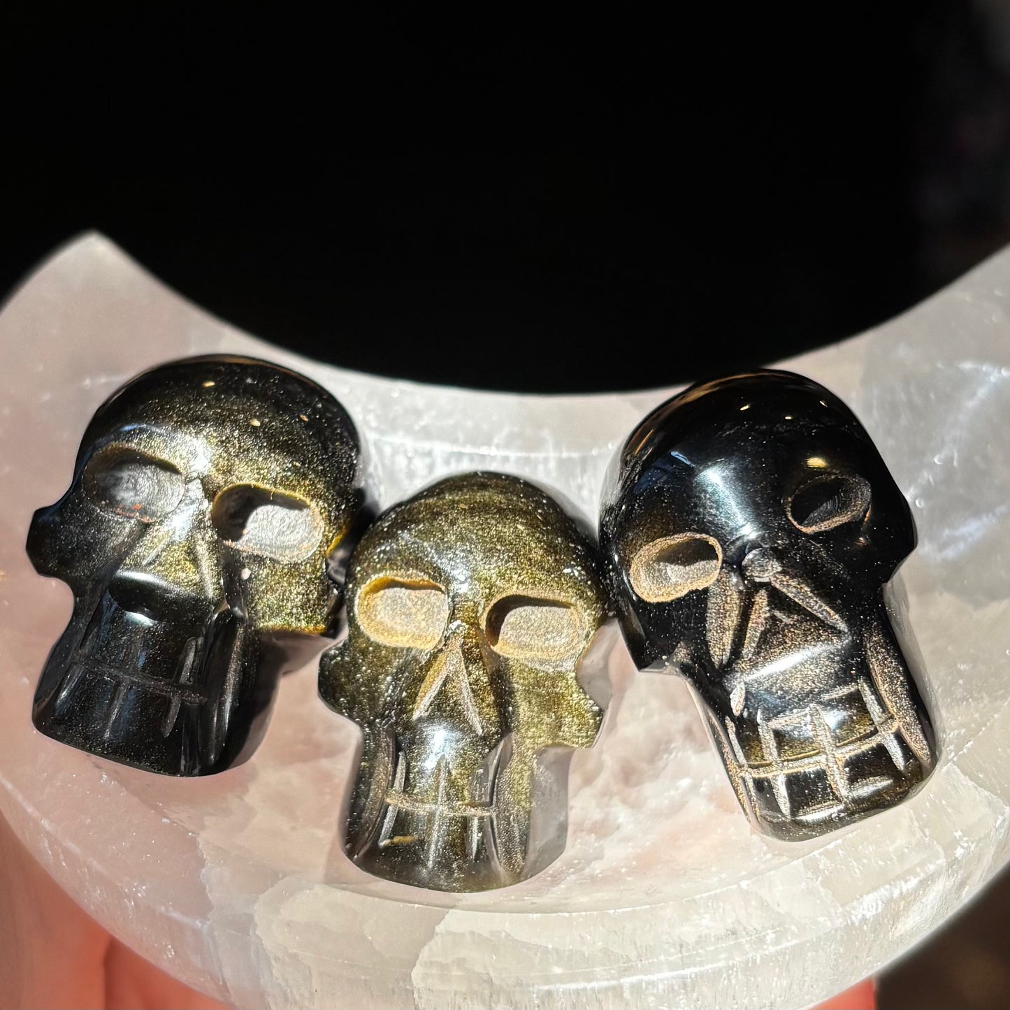 XS Skull