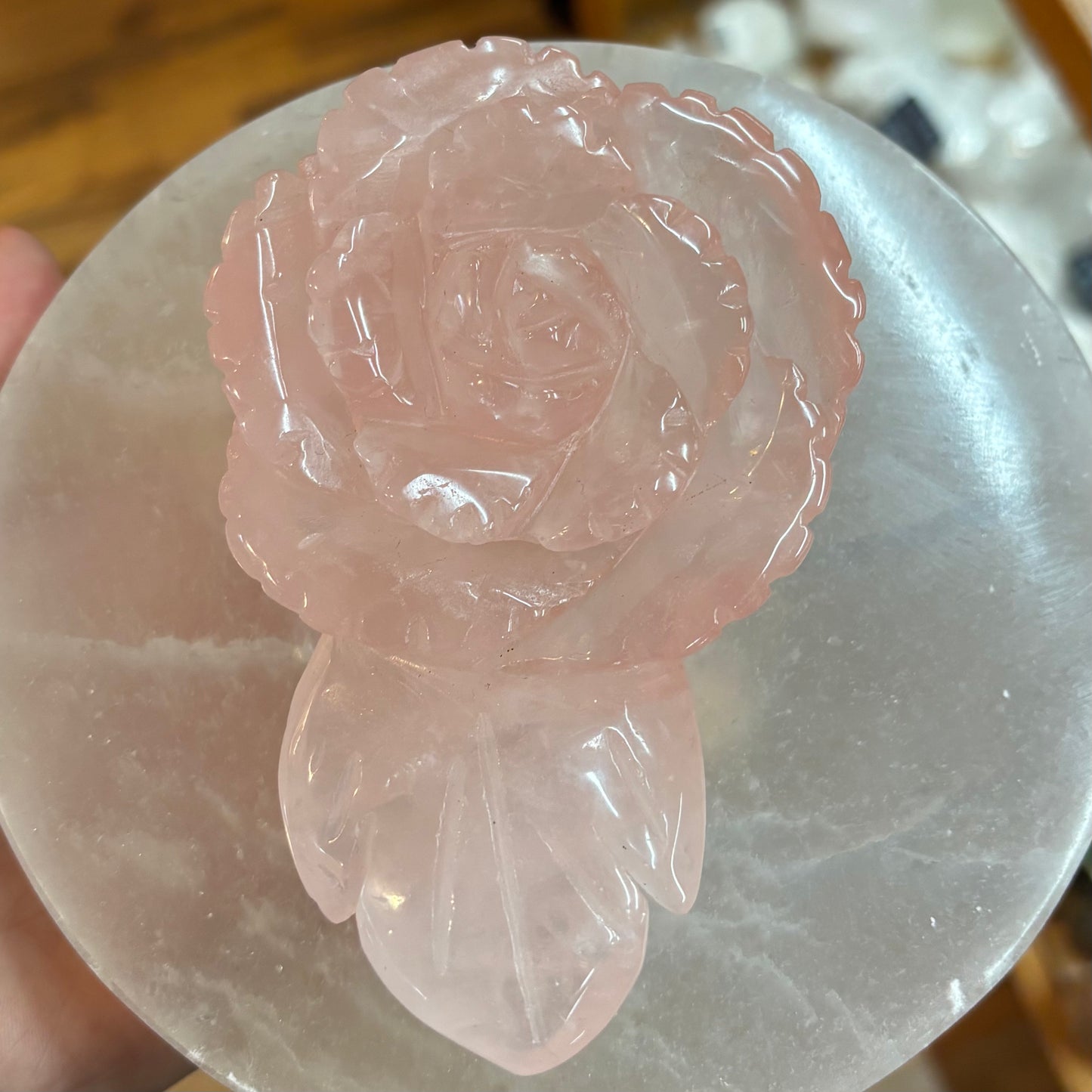 Rose Quartz Rose