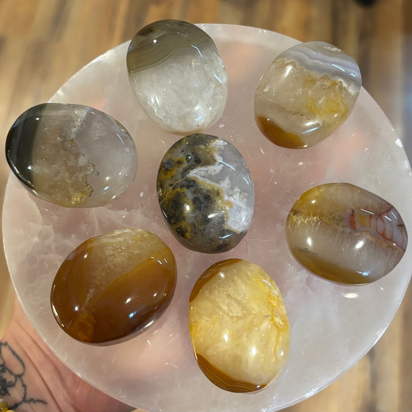 Agate Palm Stones (Brazil)