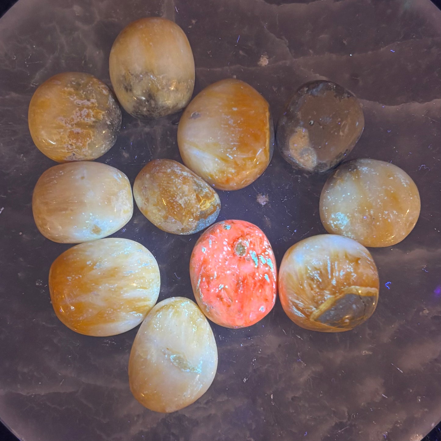 Bumblebee Jasper XS