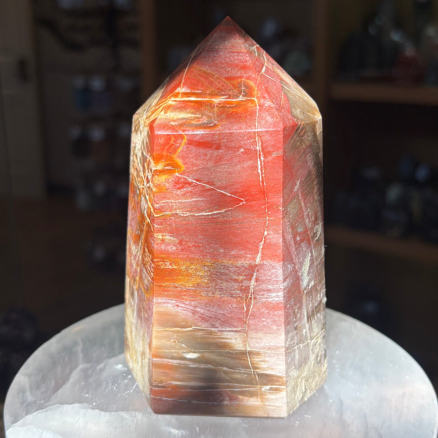 Petrified Wood Tower