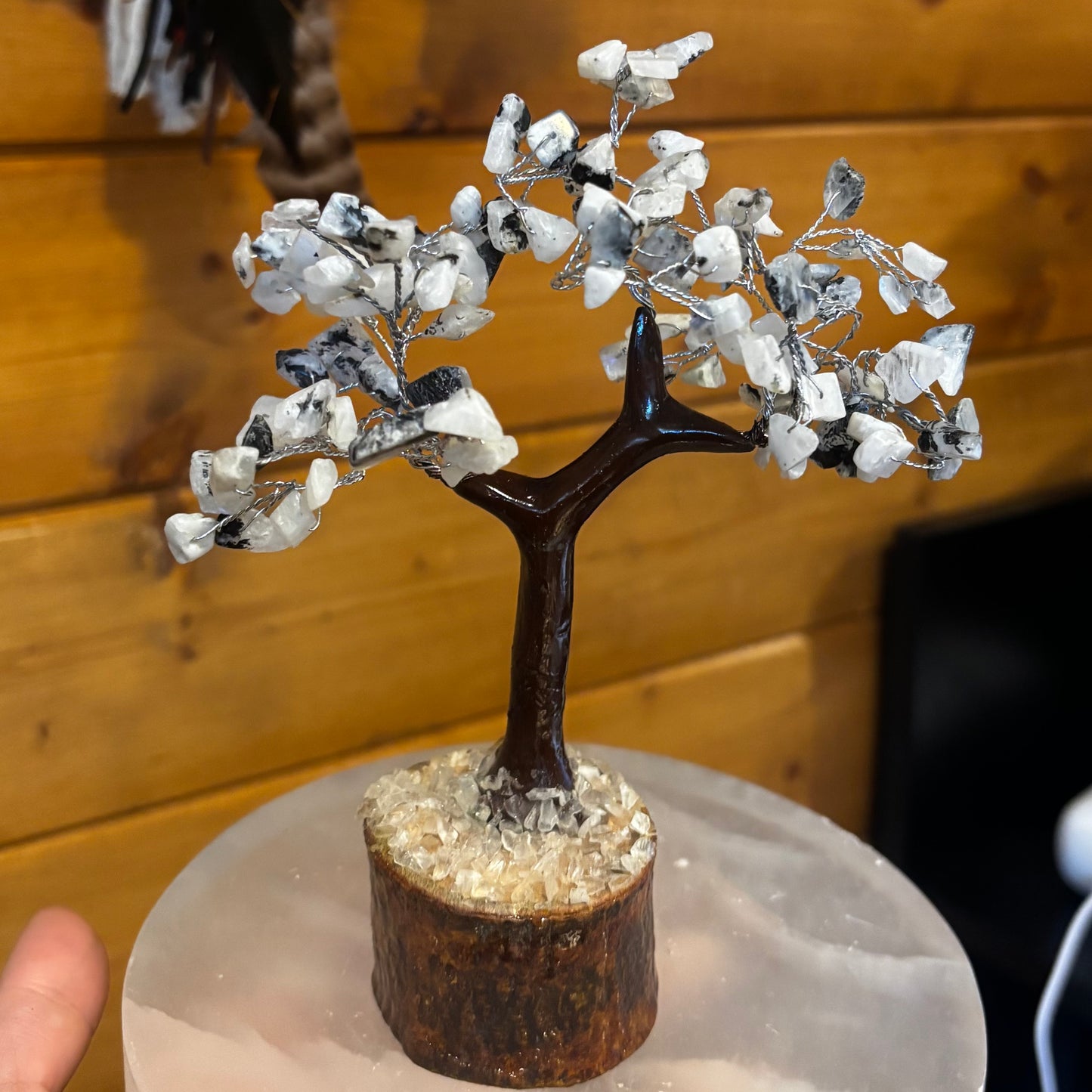 Trees