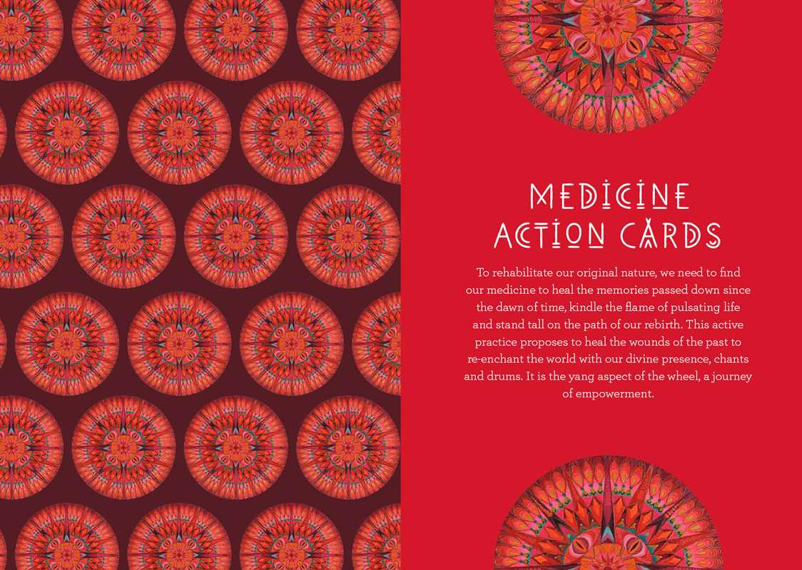 Medicine Woman Oracle by Catherine Maillard: Flashcards; 192 pages / English