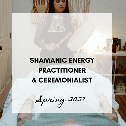 Shamanic Energy Practitioner Course Spring 2027