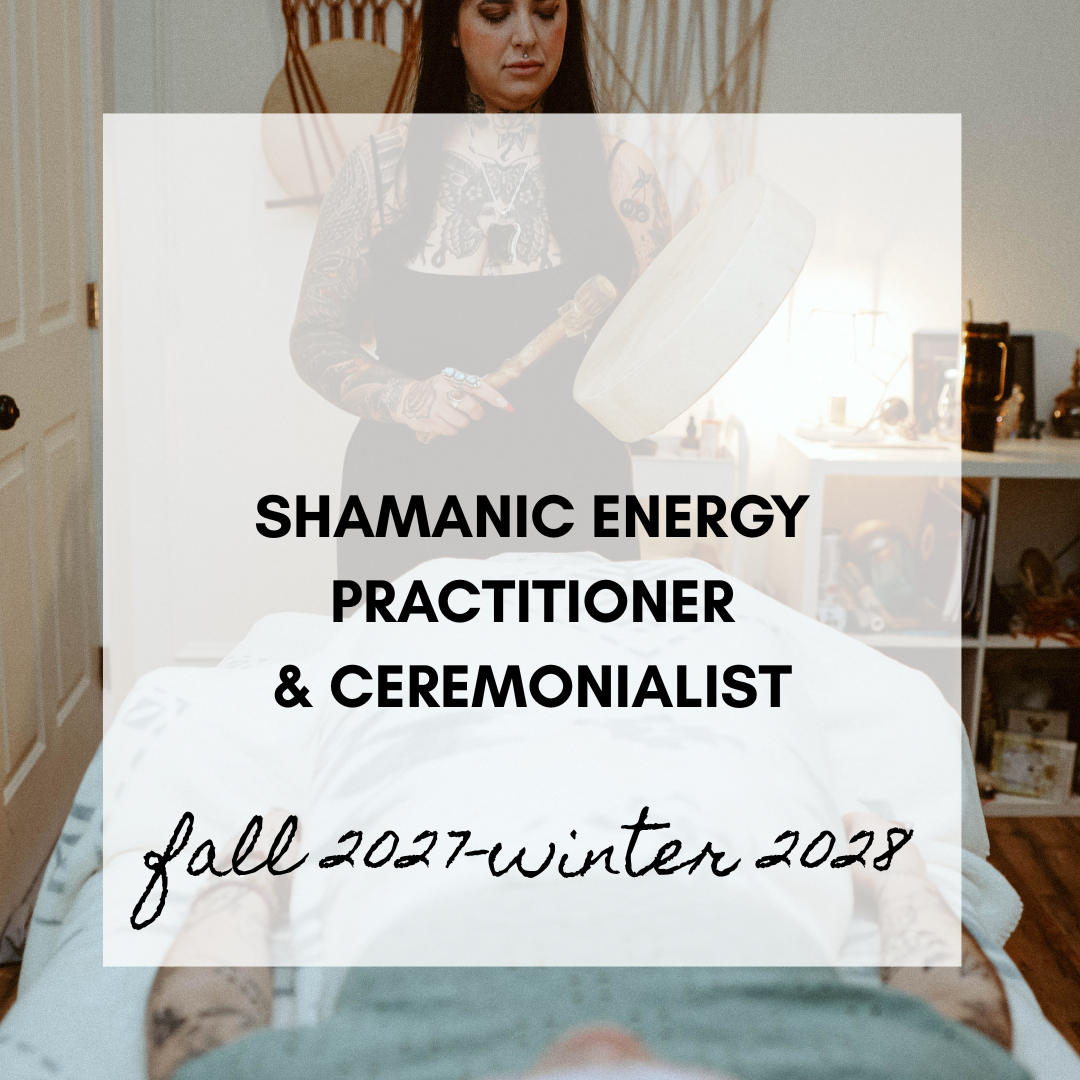 Fall 2027 Shamanic Energy Practitioner Course