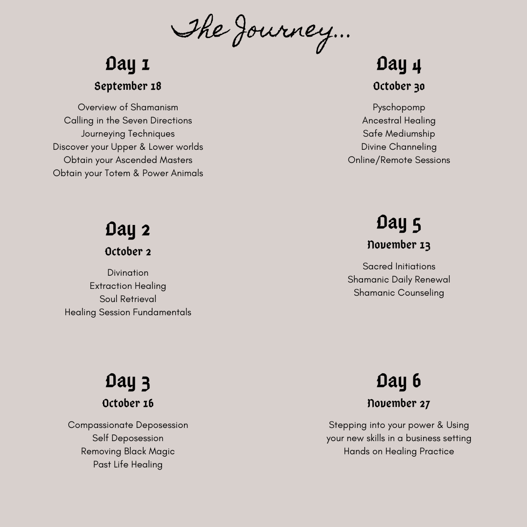 Fall 2027 Shamanic Energy Practitioner Course