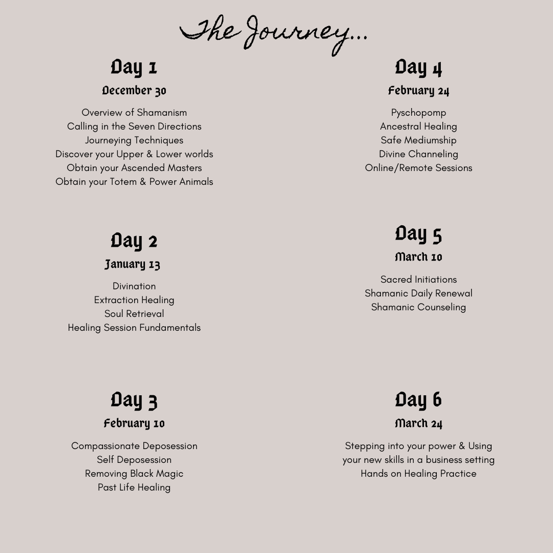Shamanic Energy Practitioner Course Winter 2027