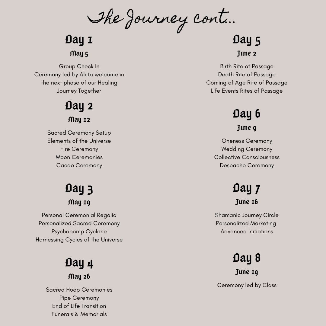 Shamanic Energy Practitioner Course Winter 2027