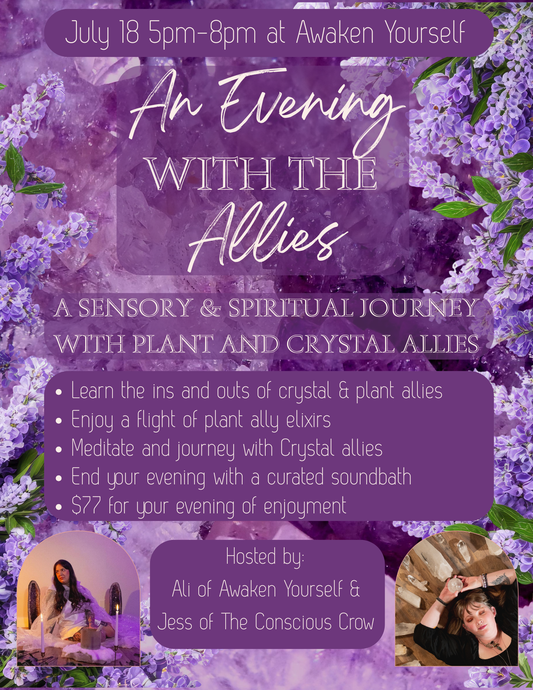 An Evening With the Allies