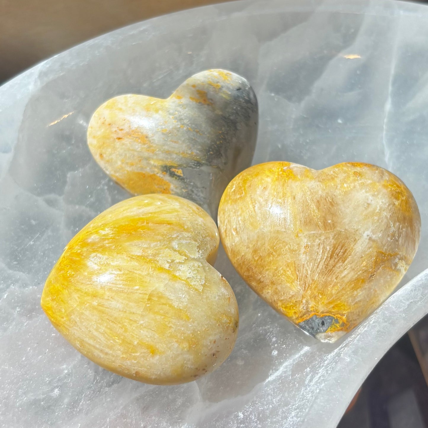 Bumblebee Jasper XS
