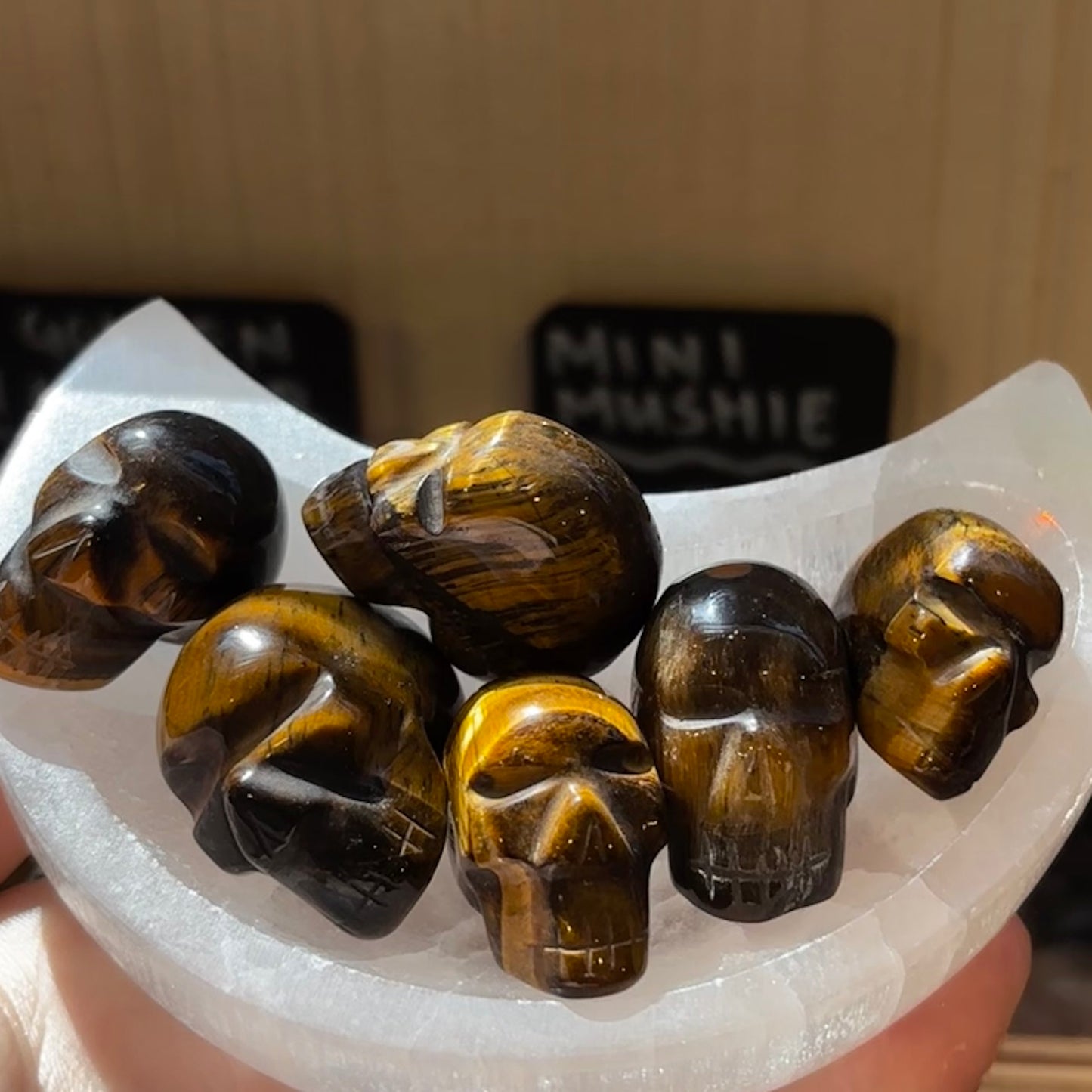 XS Skull