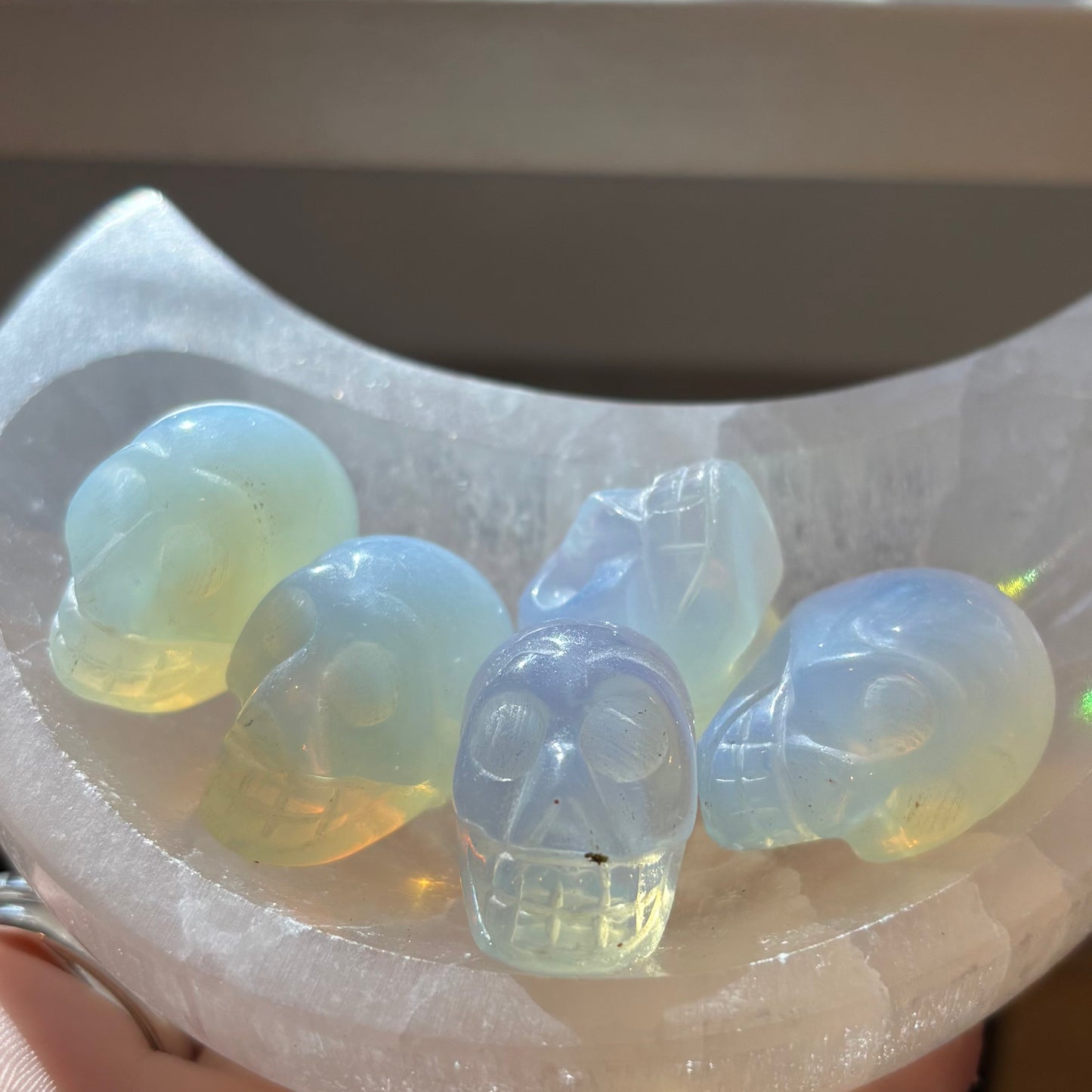 XS Skull