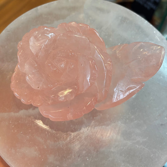 Rose Quartz Rose