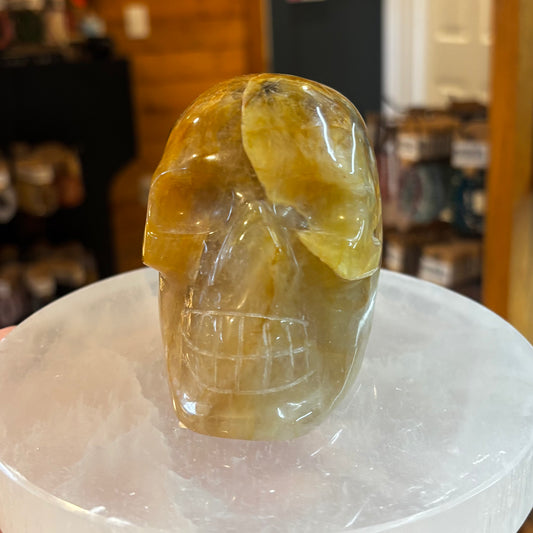 Golden Healer Skull