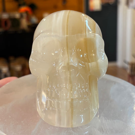 Brown Onyx Skull