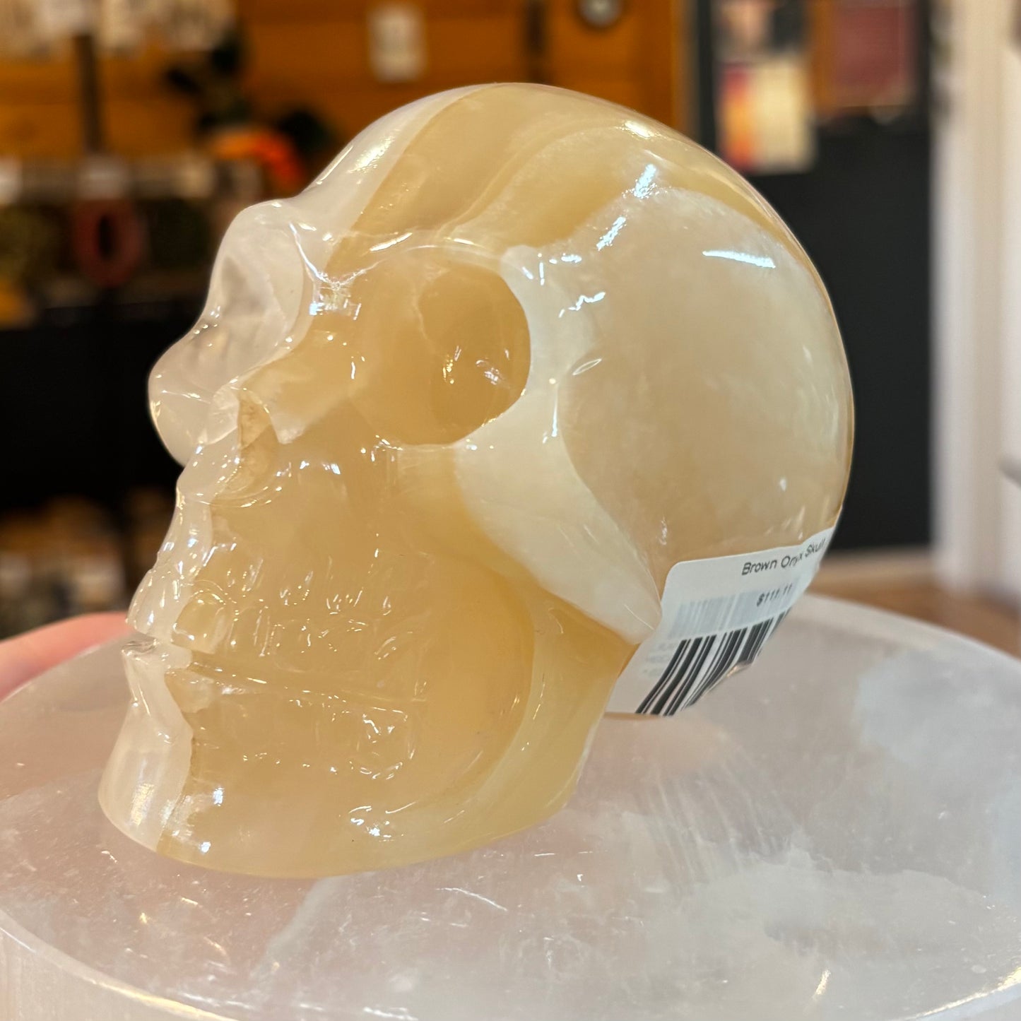 Brown Onyx Skull