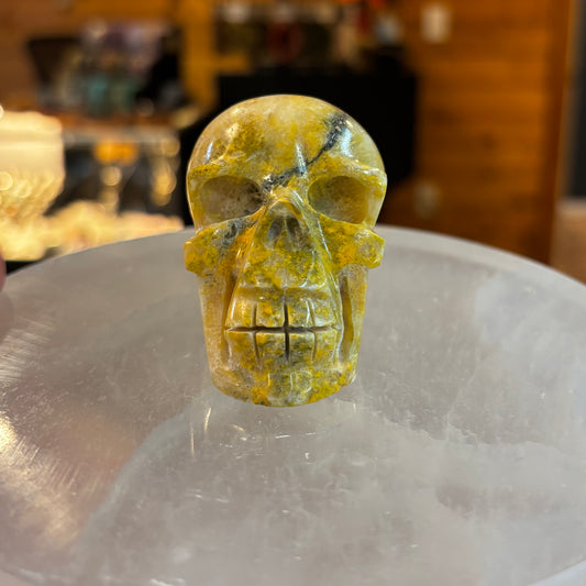 Bumblebee Jasper Skull