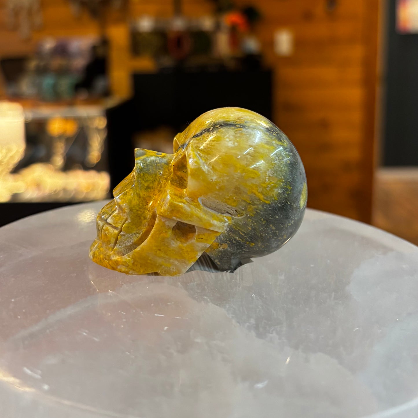 Bumblebee Jasper Skull