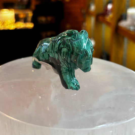 Malachite Animal