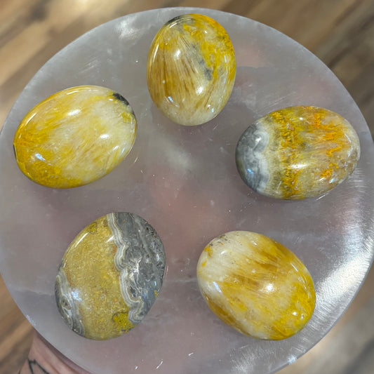 Bumblebee Jasper XS