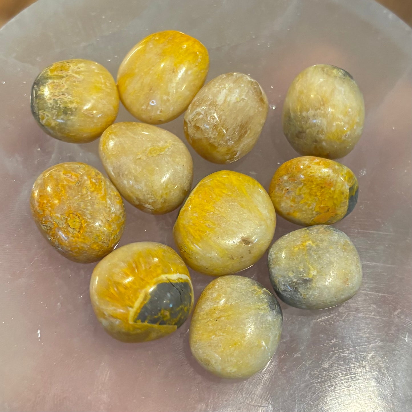 Bumblebee Jasper XS