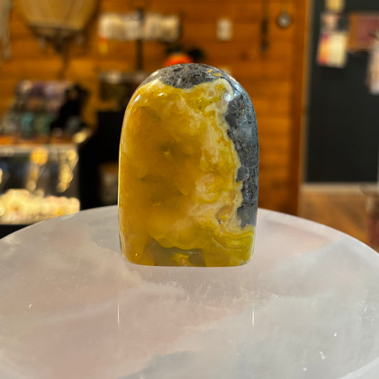 Bumblebee Jasper Freeform