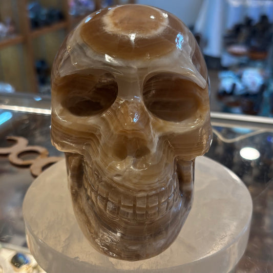Brown Onyx Skull