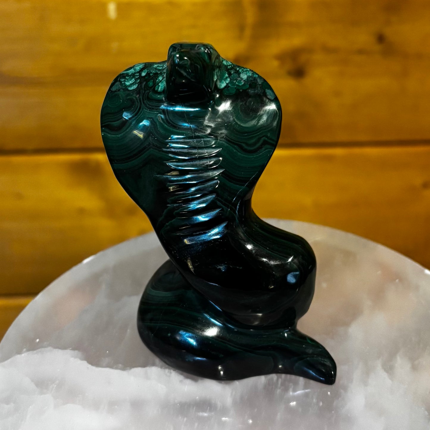 Malachite Animal