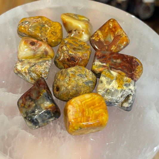Crazy Lace Agate