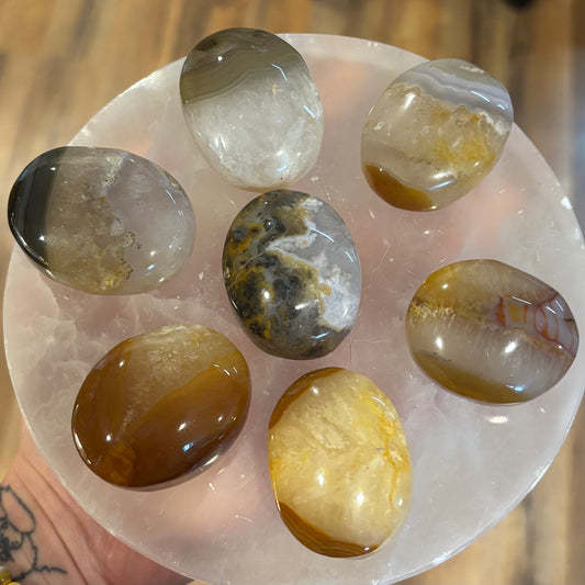 Agate Palm Stones (Brazil)
