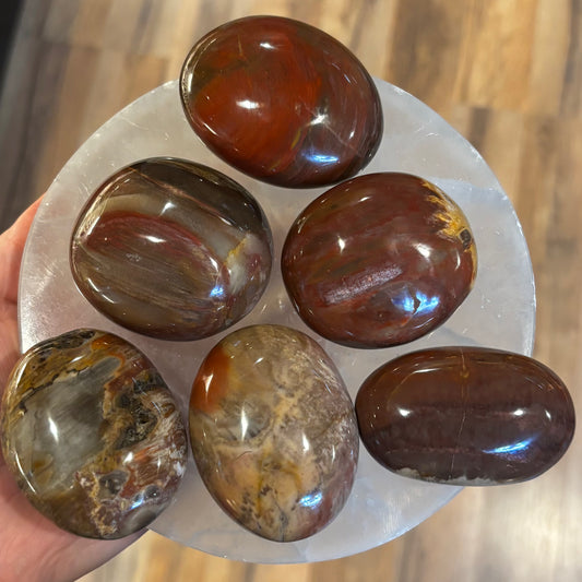 Petrified Wood Palm Stone