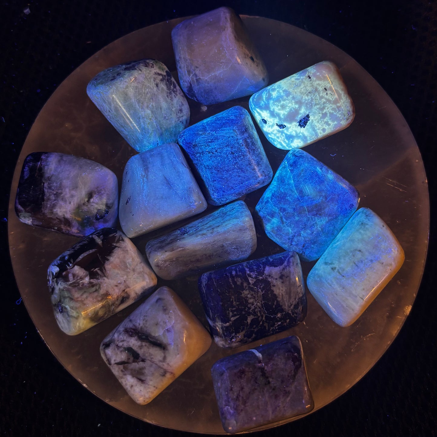 Kammermerite Tumble