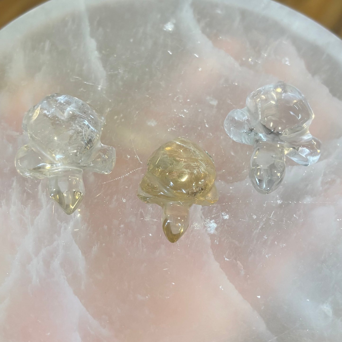 XS Crystal Animals
