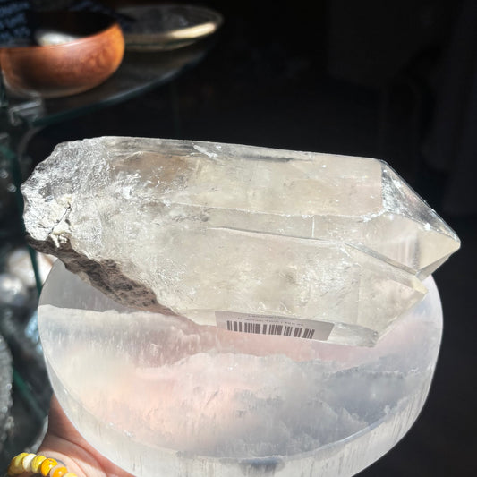 Lemurian Wand