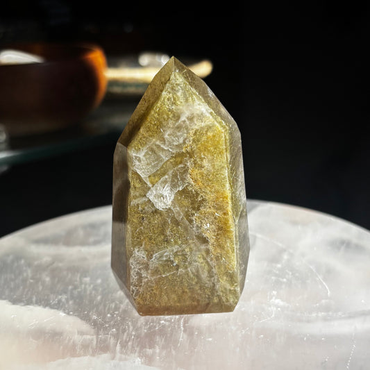 Shaman's Stone