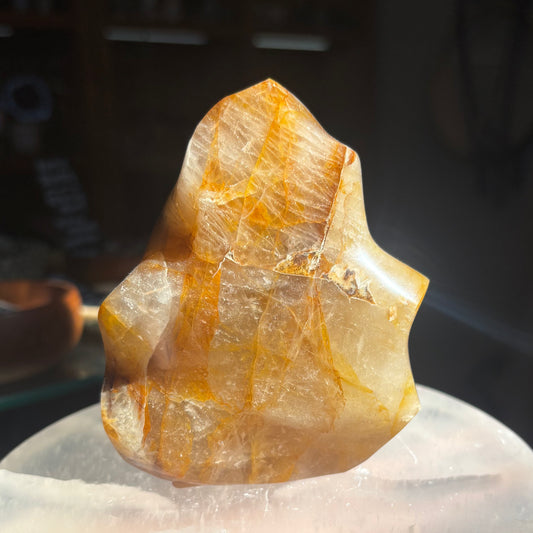 Golden Healer Freeform/Flame