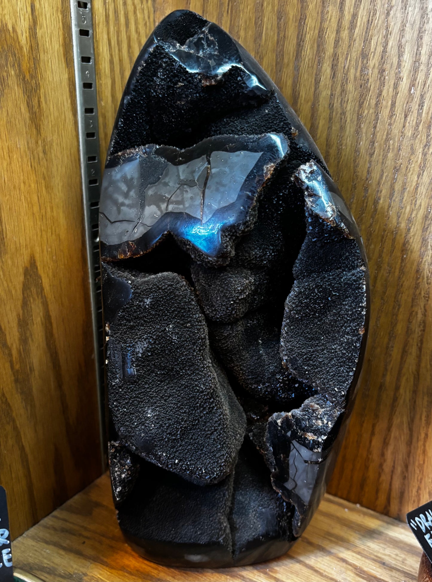 Septarian "Dragon Egg"