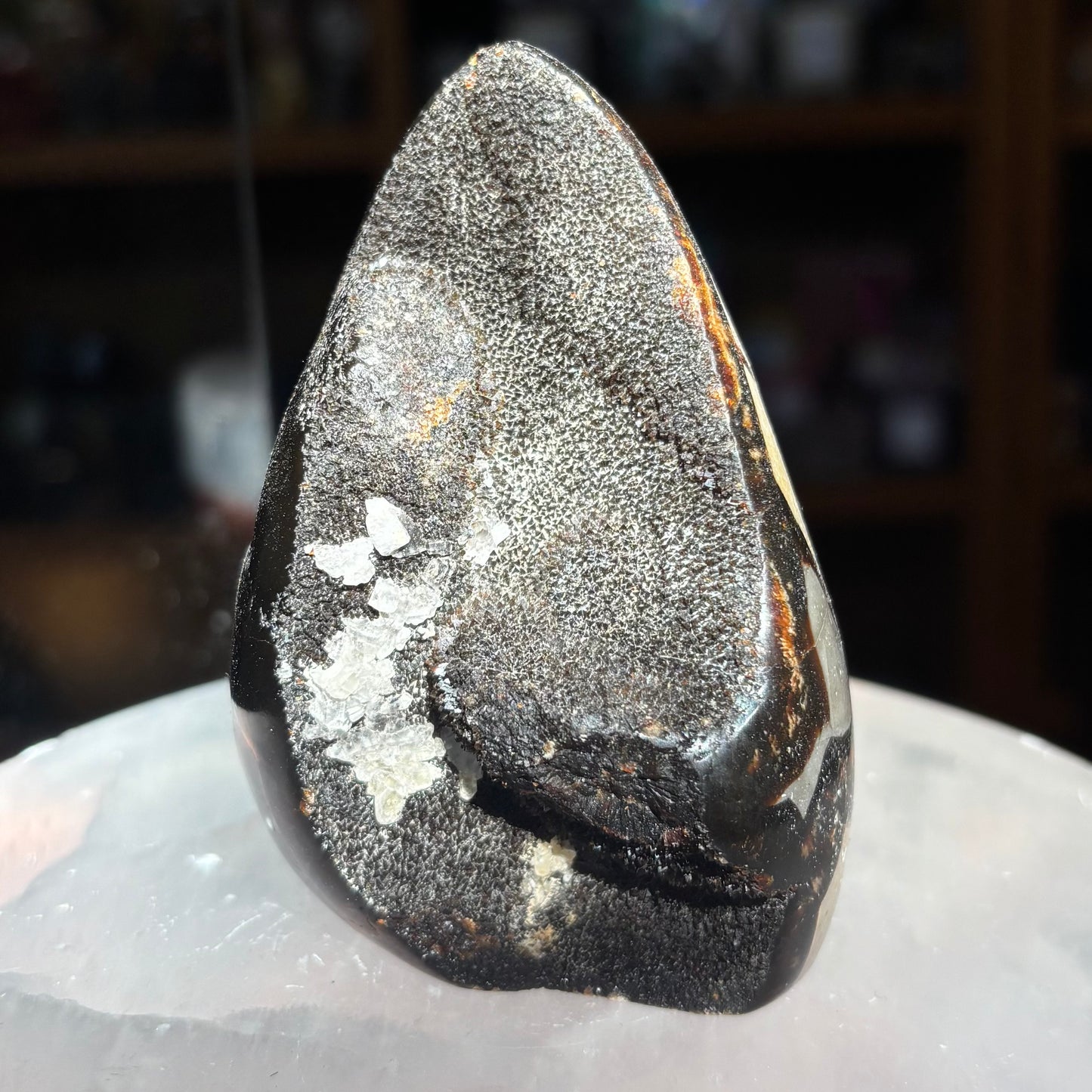 Septarian "Dragon Egg"