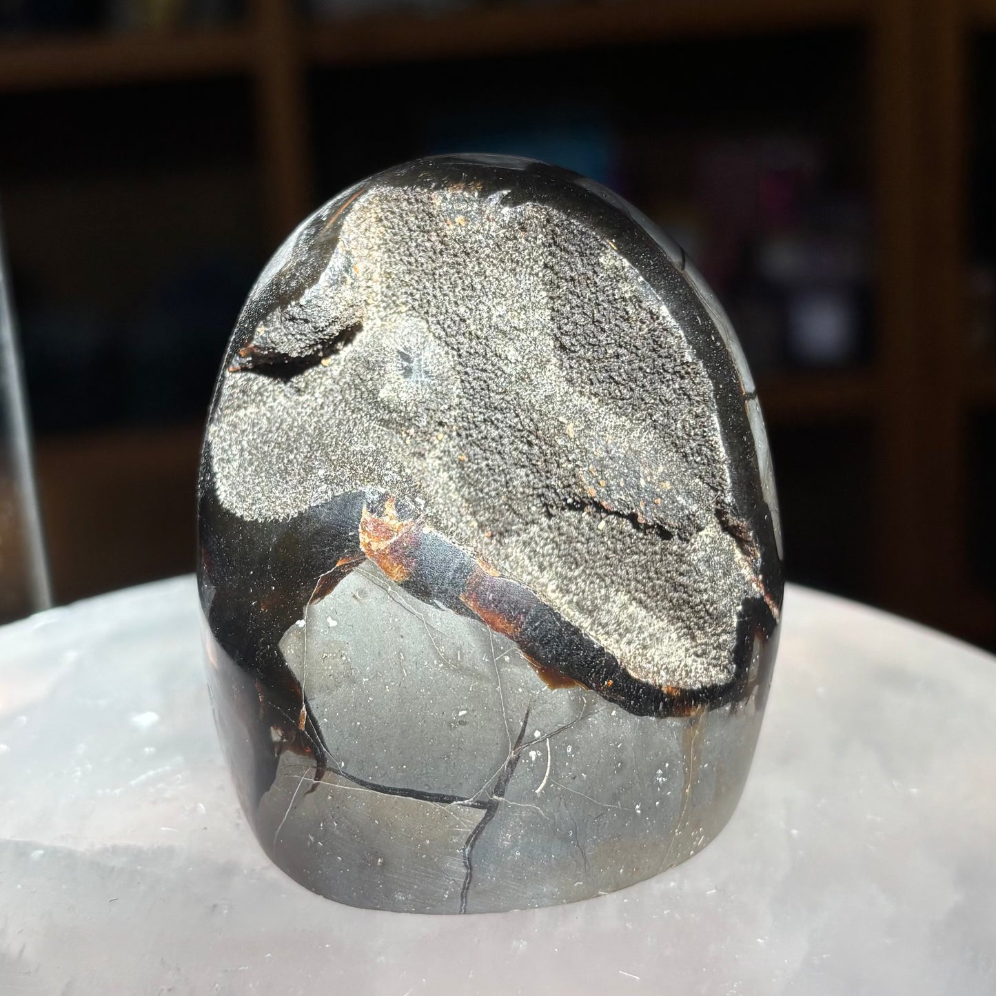 Septarian "Dragon Egg"