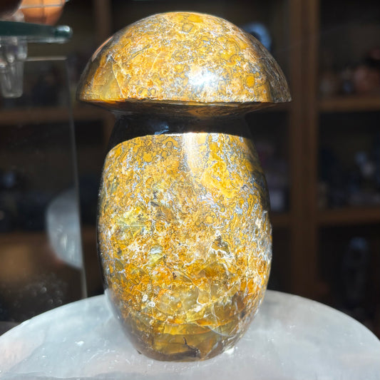 Ocean Jasper Mushroom