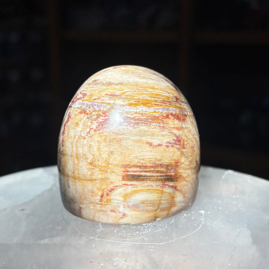 Petrified Wood FreeForm