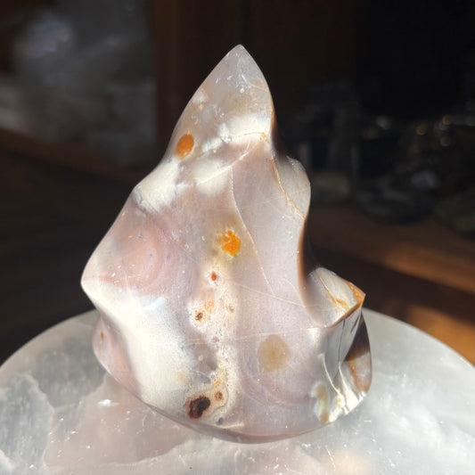 Ocean Jasper Freeform/Flame
