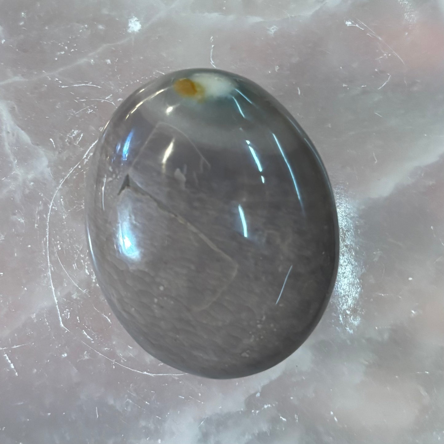Ocean Jasper Palm