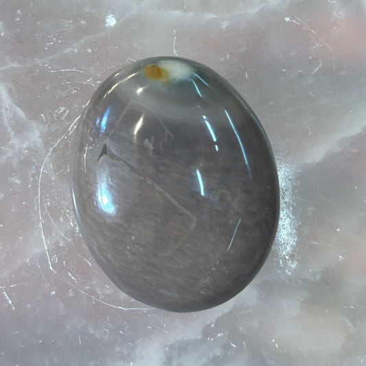 Ocean Jasper Palm