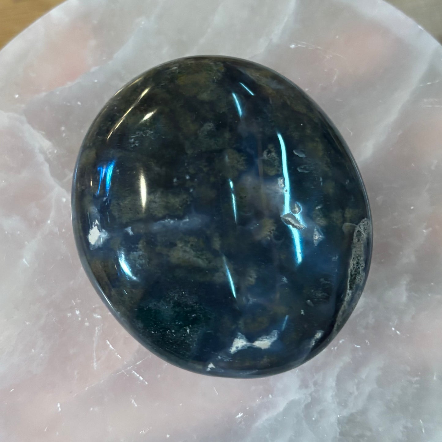 Ocean Jasper Palm